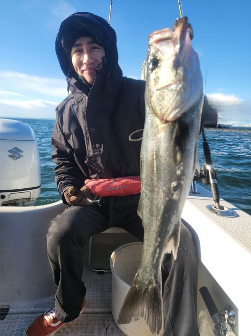 シーバス(スズキ)