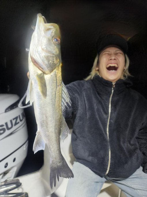 シーバス(スズキ)