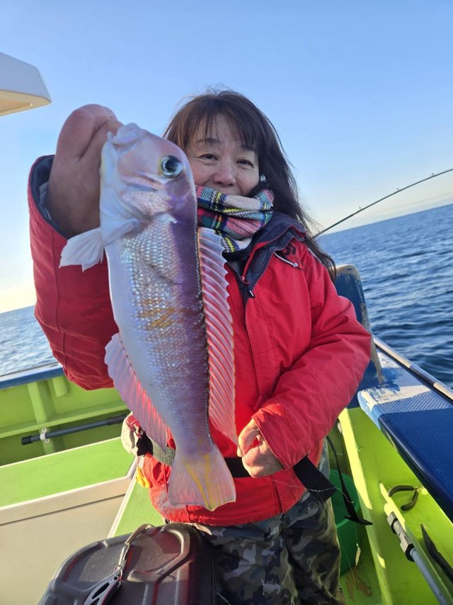 アマダイ(アカアマダイ)