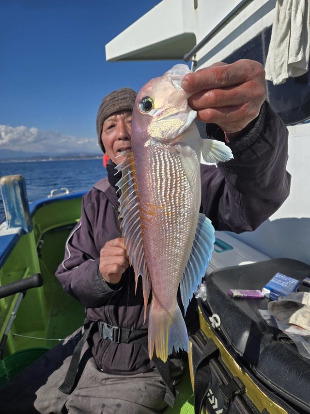 アマダイ(アカアマダイ)