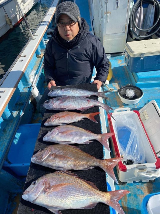 マダイ・メダイ