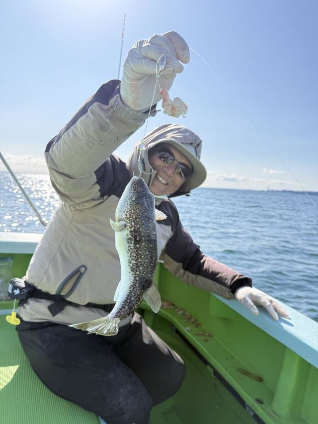 フグ(ショウサイフグ)