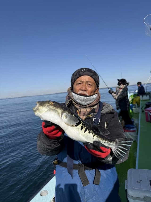 フグ(トラフグ)