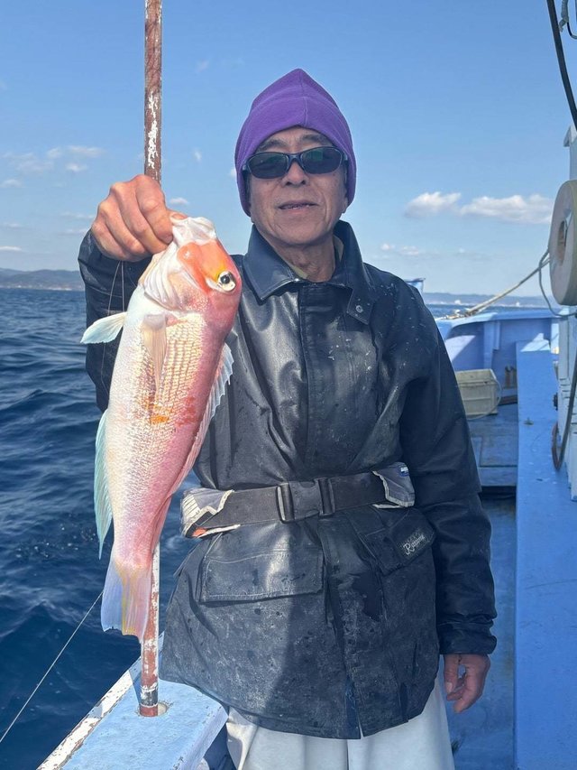 アマダイ(アカアマダイ)