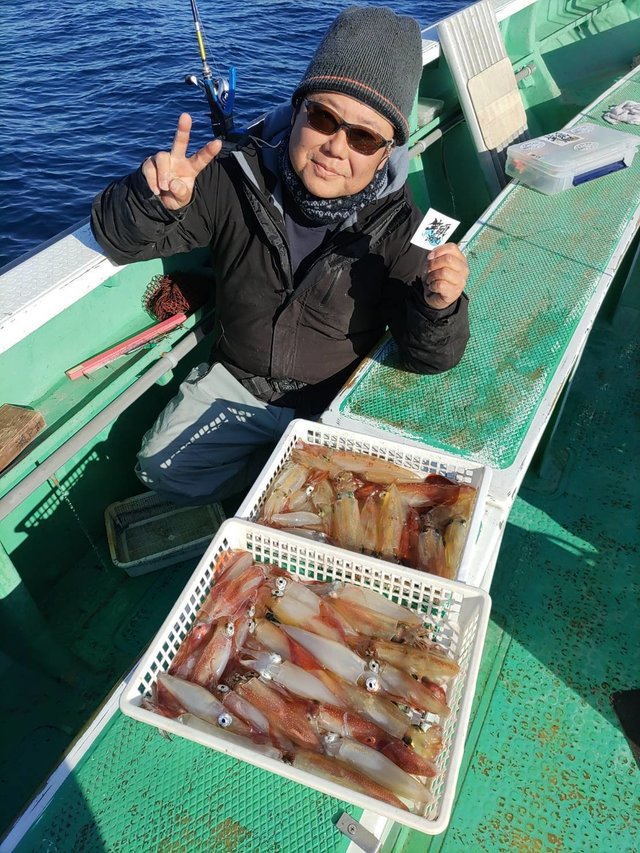 マルイカ(ケンサキイカ)