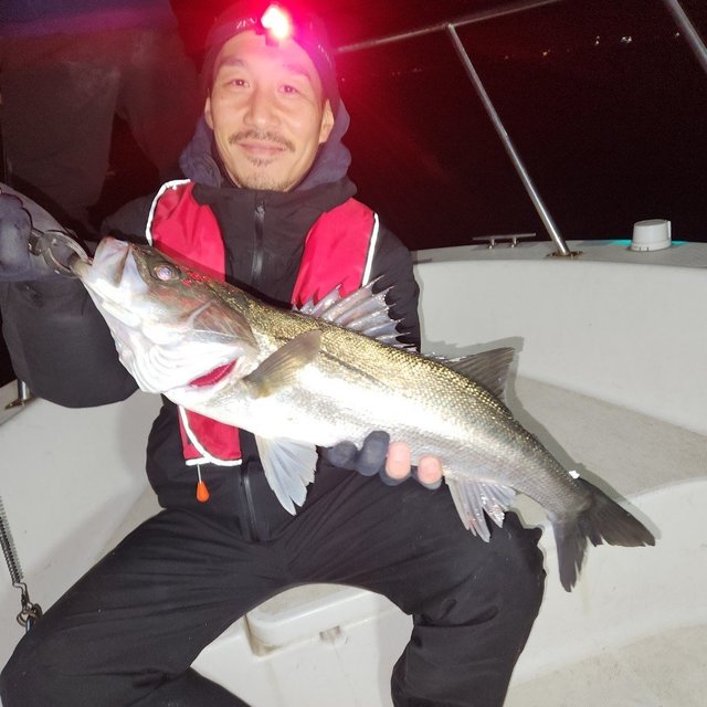 シーバス(スズキ)