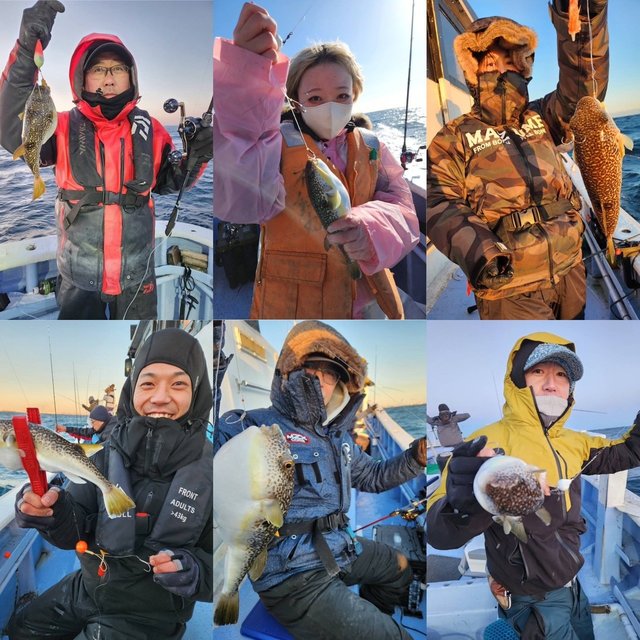 ショウサイフグ