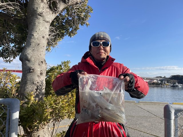 マルイカ(ケンサキイカ)