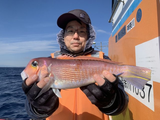 アマダイ(アカアマダイ)