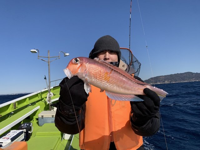 アマダイ(アカアマダイ)