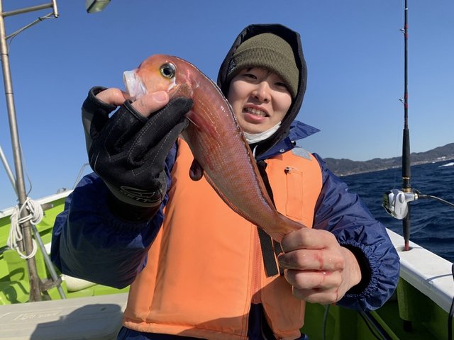 アマダイ(アカアマダイ)