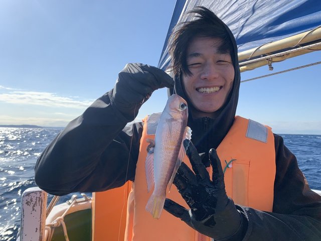 アマダイ(アカアマダイ)