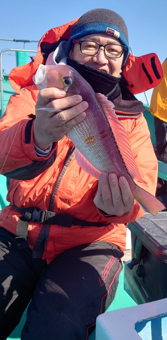 アマダイ(アカアマダイ)