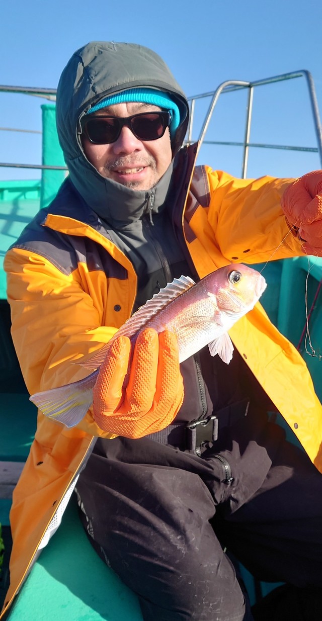 アマダイ(アカアマダイ)