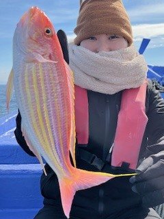 イトヨリ(イトヨリダイ)