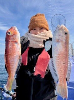 アマダイ(アカアマダイ)