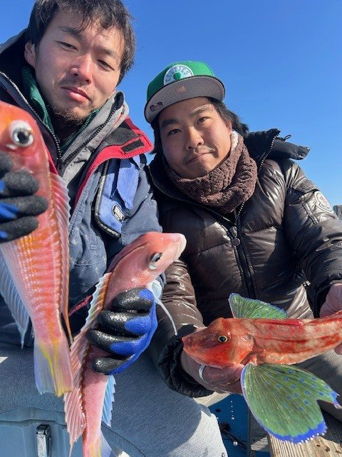 アマダイ(アカアマダイ)・ホウボウ