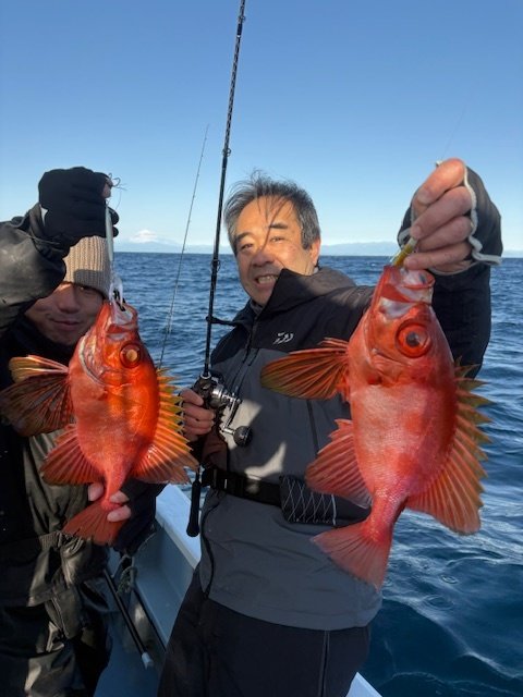 キントキ(チカメキントキ)