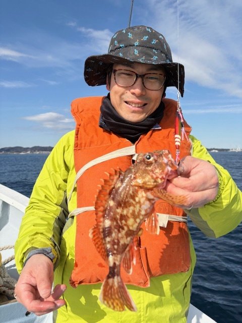 カンコ(ウッカリカサゴ)