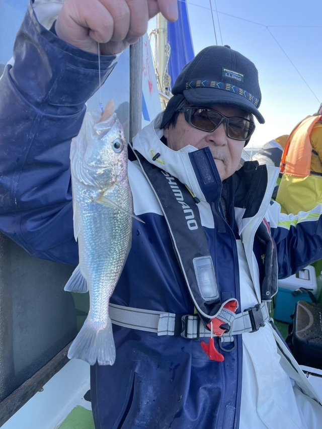 イシモチ(シログチ)