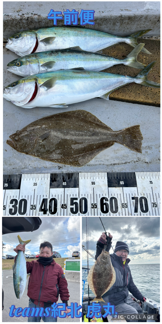 メジロ(ブリ)・ヒラメ