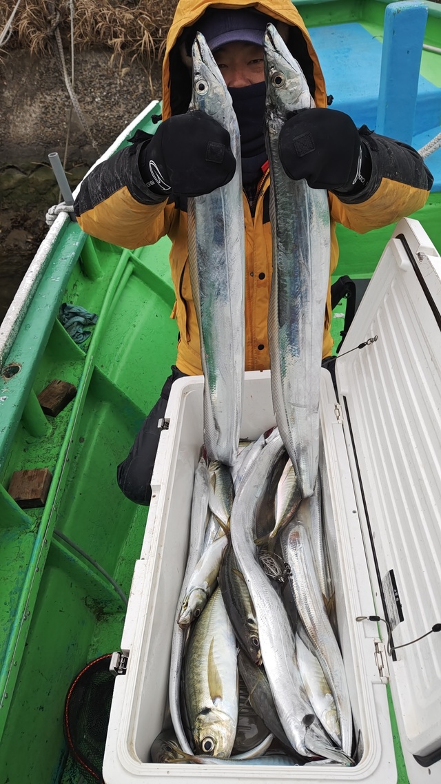 アジ(マアジ)・タチウオ