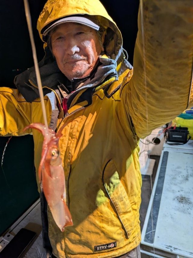 マイカ(ケンサキイカ)