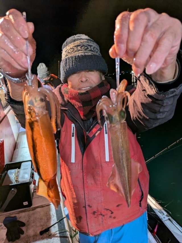 スルメイカ・マイカ(ケンサキイカ)