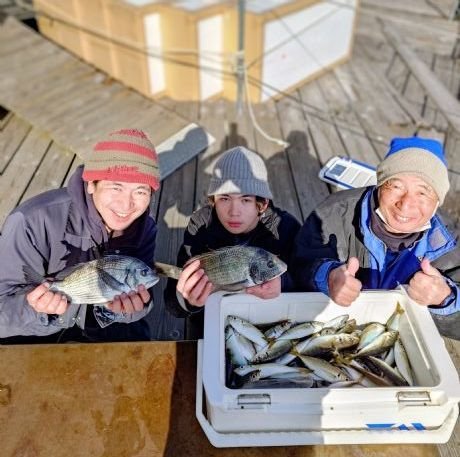 クロダイ・アジ(マアジ)