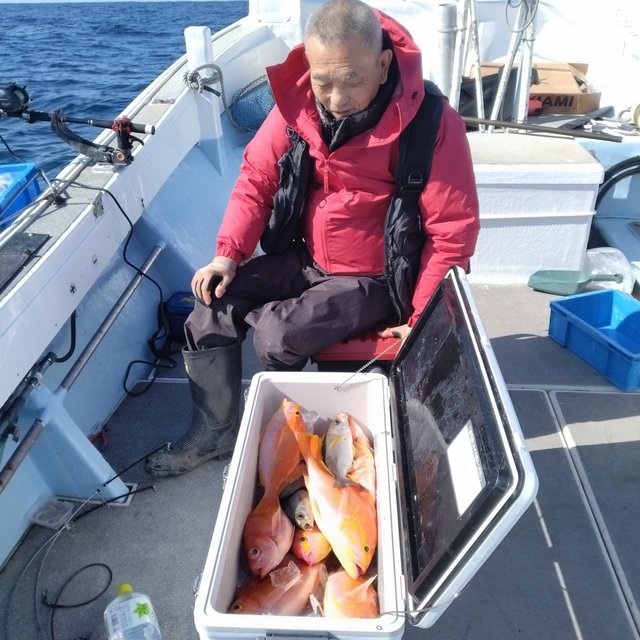 アカイサキ・イサキ