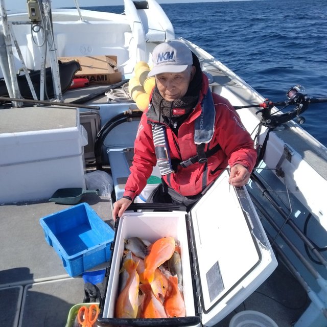 アカイサキ・アコウ(キジハタ)