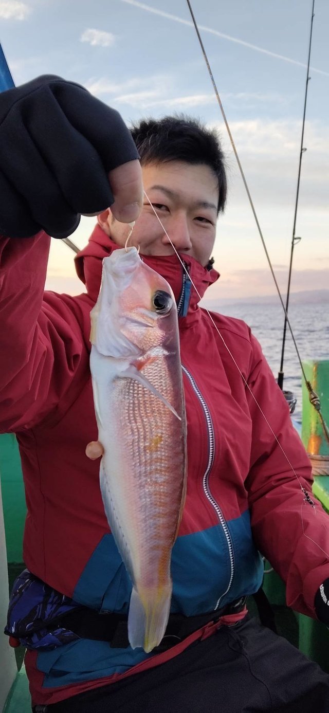 アマダイ(アカアマダイ)