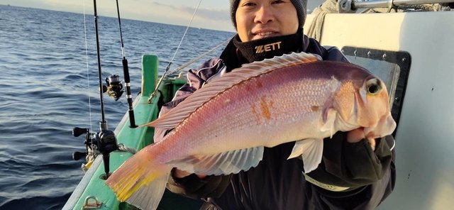 アマダイ(アカアマダイ)