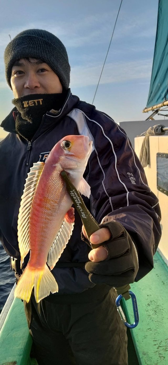 アマダイ(アカアマダイ)