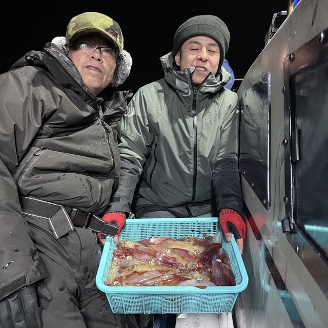 マルイカ(ケンサキイカ)