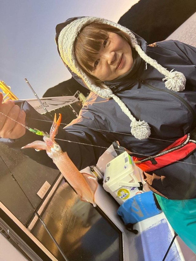 マルイカ(ケンサキイカ)