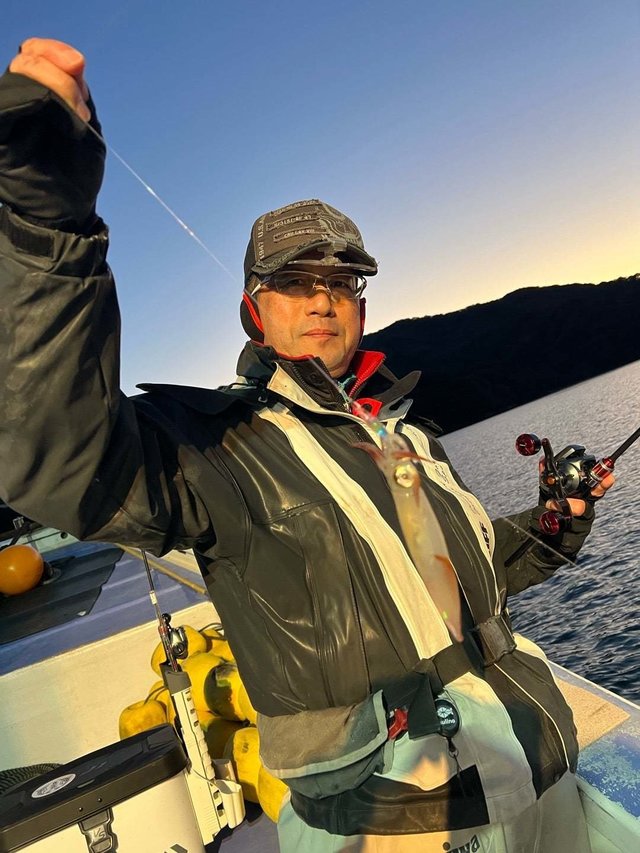 マルイカ(ケンサキイカ)