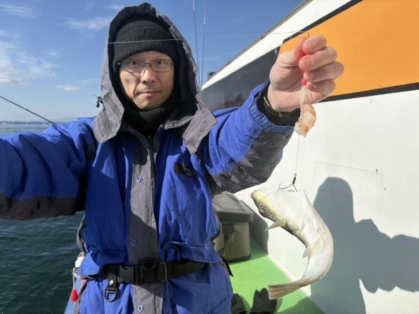 ショウサイフグ