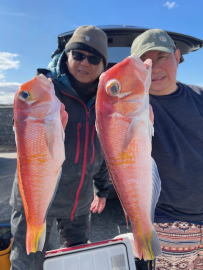 アマダイ(アカアマダイ)