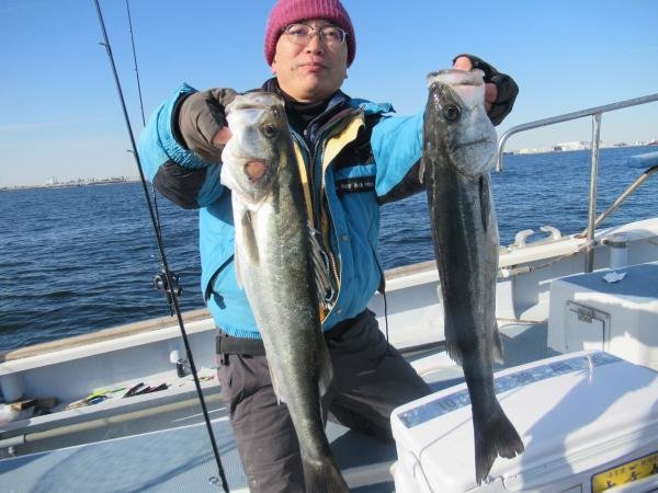 シーバス(スズキ)