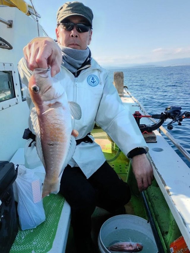 アマダイ(アカアマダイ)