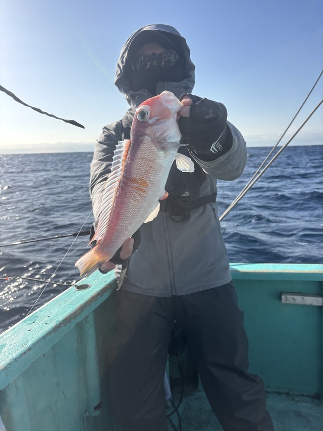 アマダイ(アカアマダイ)