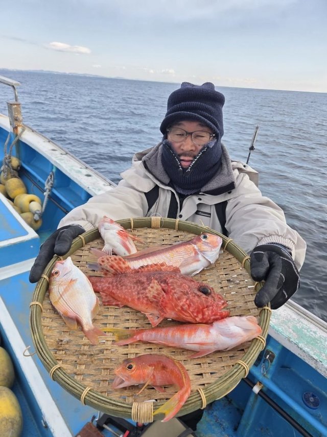 アマダイ(アカアマダイ)・オニカサゴ・カンコ(ウッカリカサゴ)・アカボラ(ヒメコダイ)