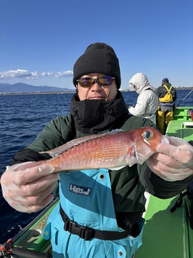 アマダイ(アカアマダイ)