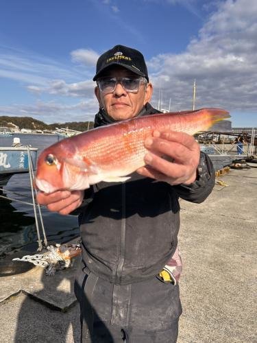 アマダイ(アカアマダイ)