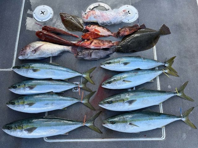 マダイ・ハマチ(ブリ)・ウスメバル・ホウボウ・ヒラメ