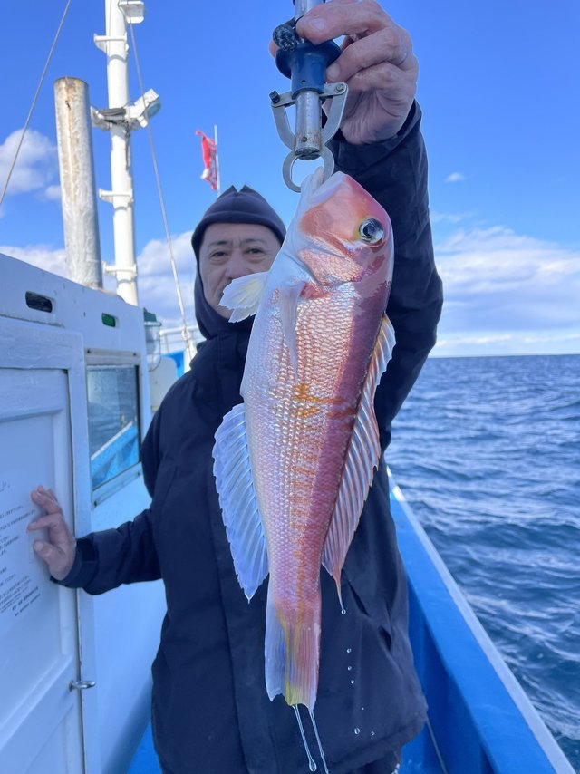 アマダイ(アカアマダイ)