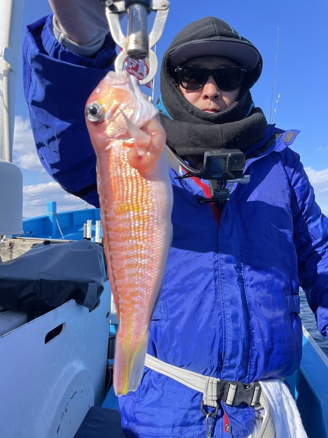 アマダイ(アカアマダイ)