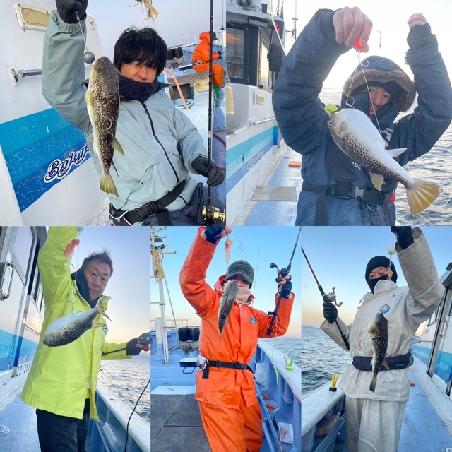 ショウサイフグ