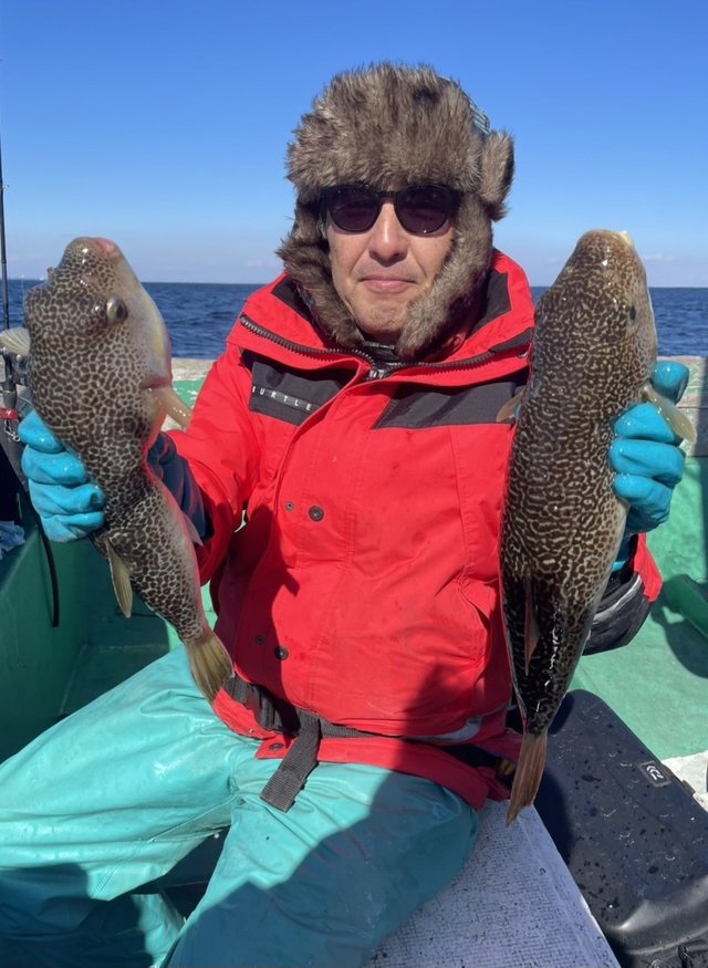 ショウサイフグ